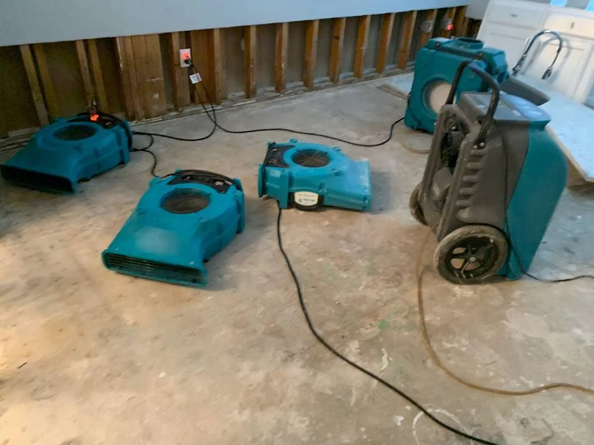 Water Damage Restoration services in Otis Orchards-East Farms, WA